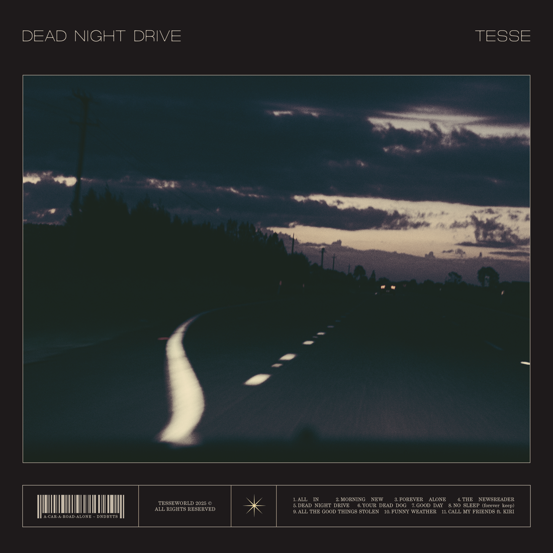Dead Night Drive
