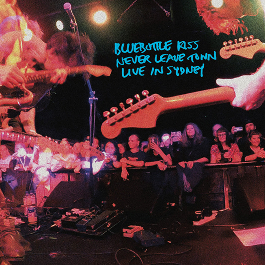 Bluebottle Kiss - Never Leave Town (Live in Sydney)
