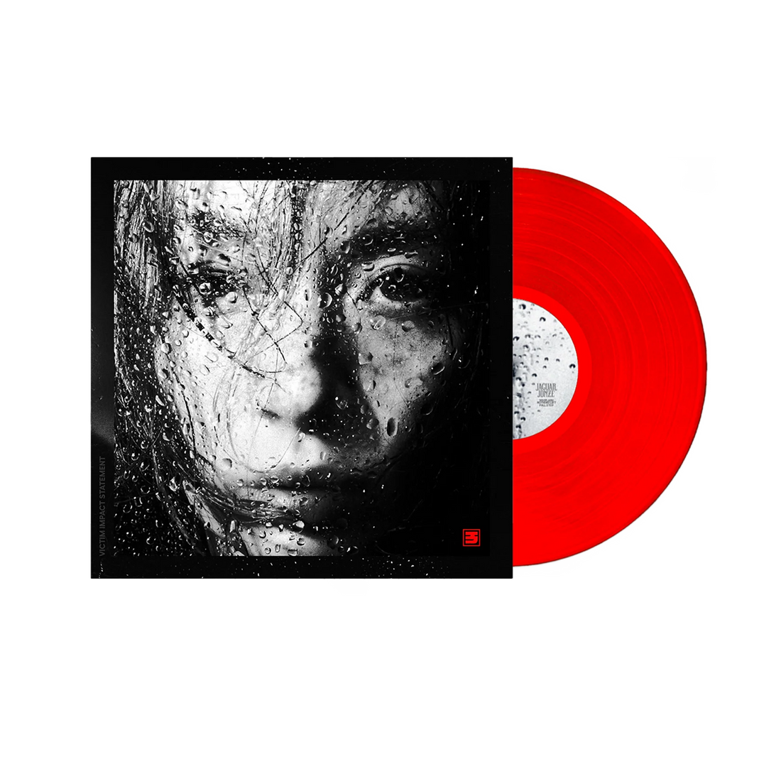 Victim Impact Statement