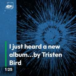 I just heard a new album...by Tristen Bird