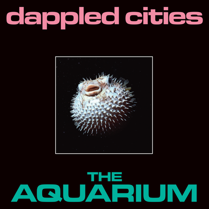 The Aquarium