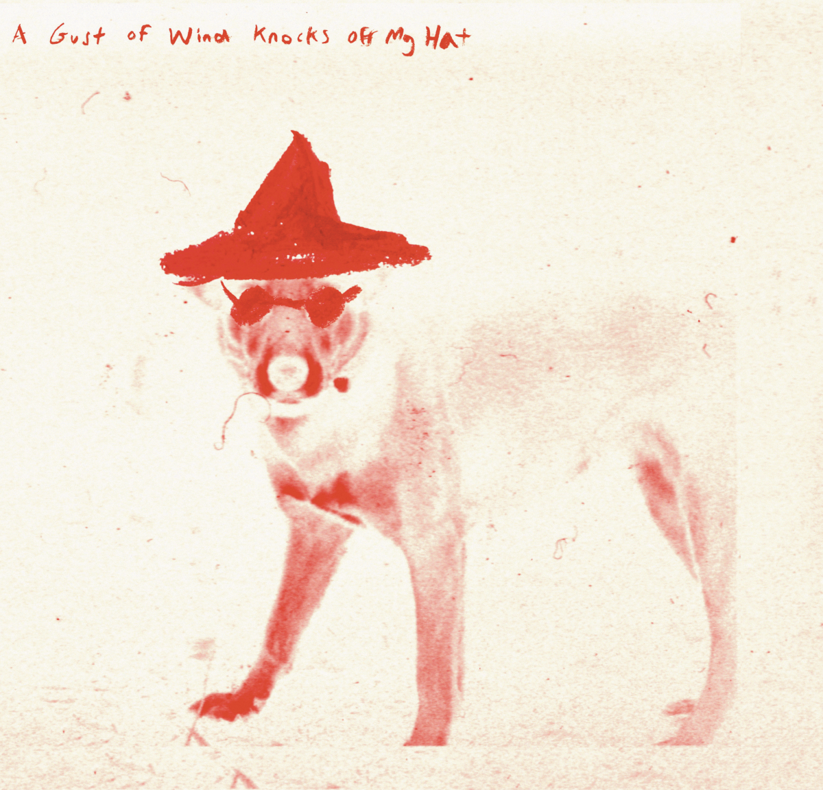 A Gust of Wind Knocks Off My Hat