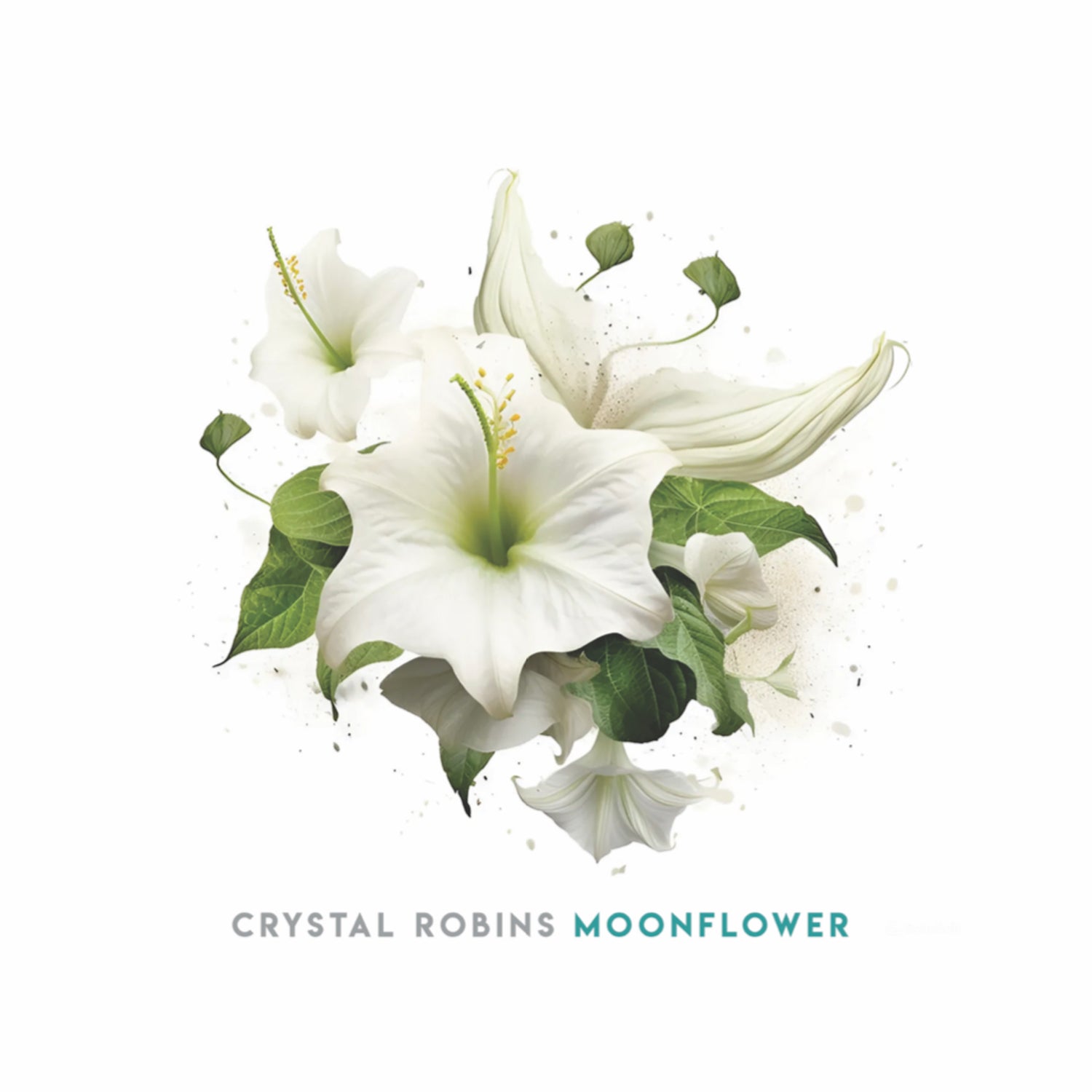 Moonflower