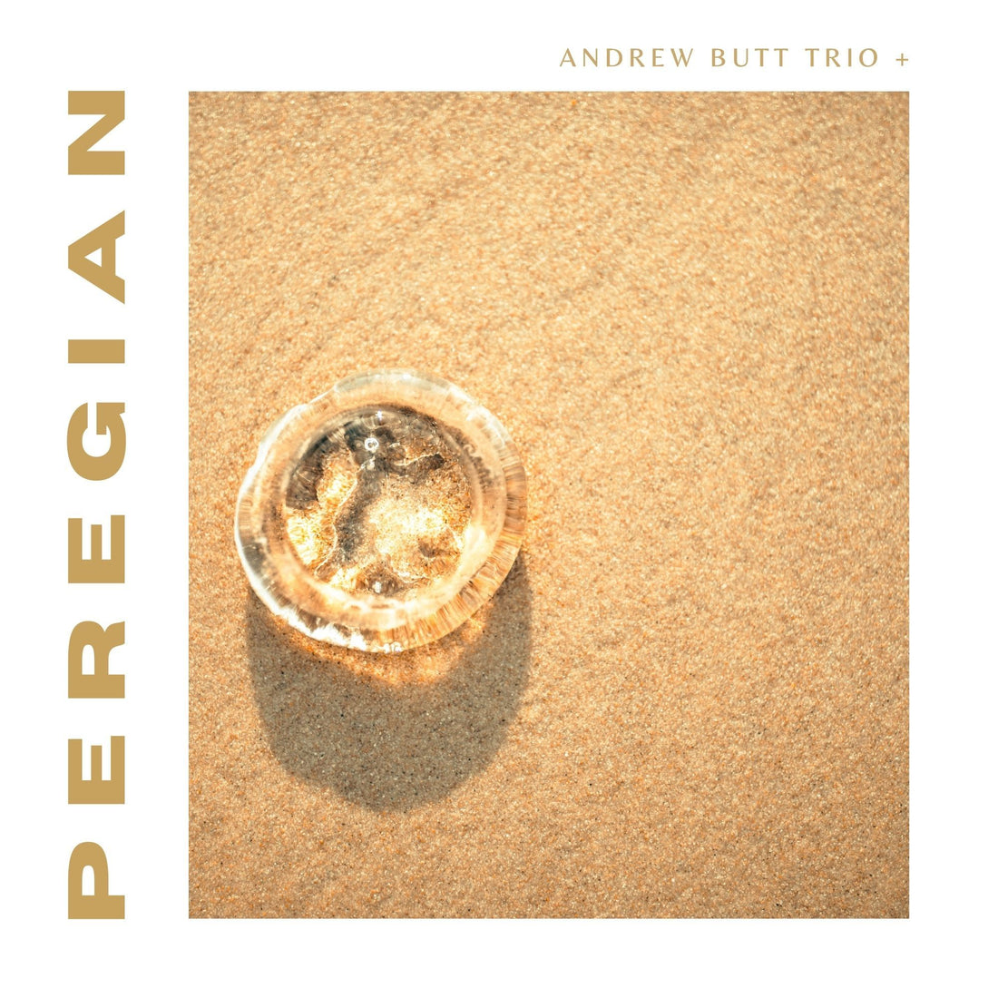 Andrew Butt Trio + - Peregian